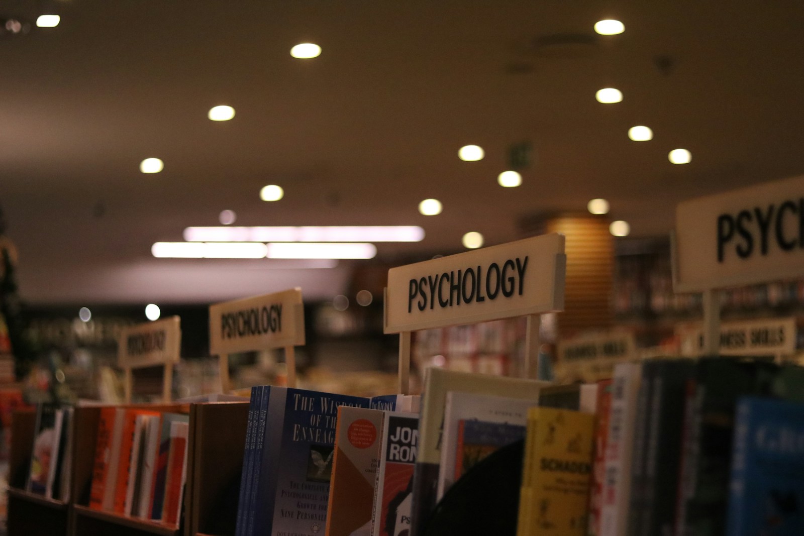 a row of books on a shelf in a library